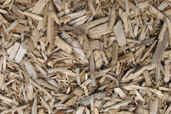 biomass boilers Barfrestone